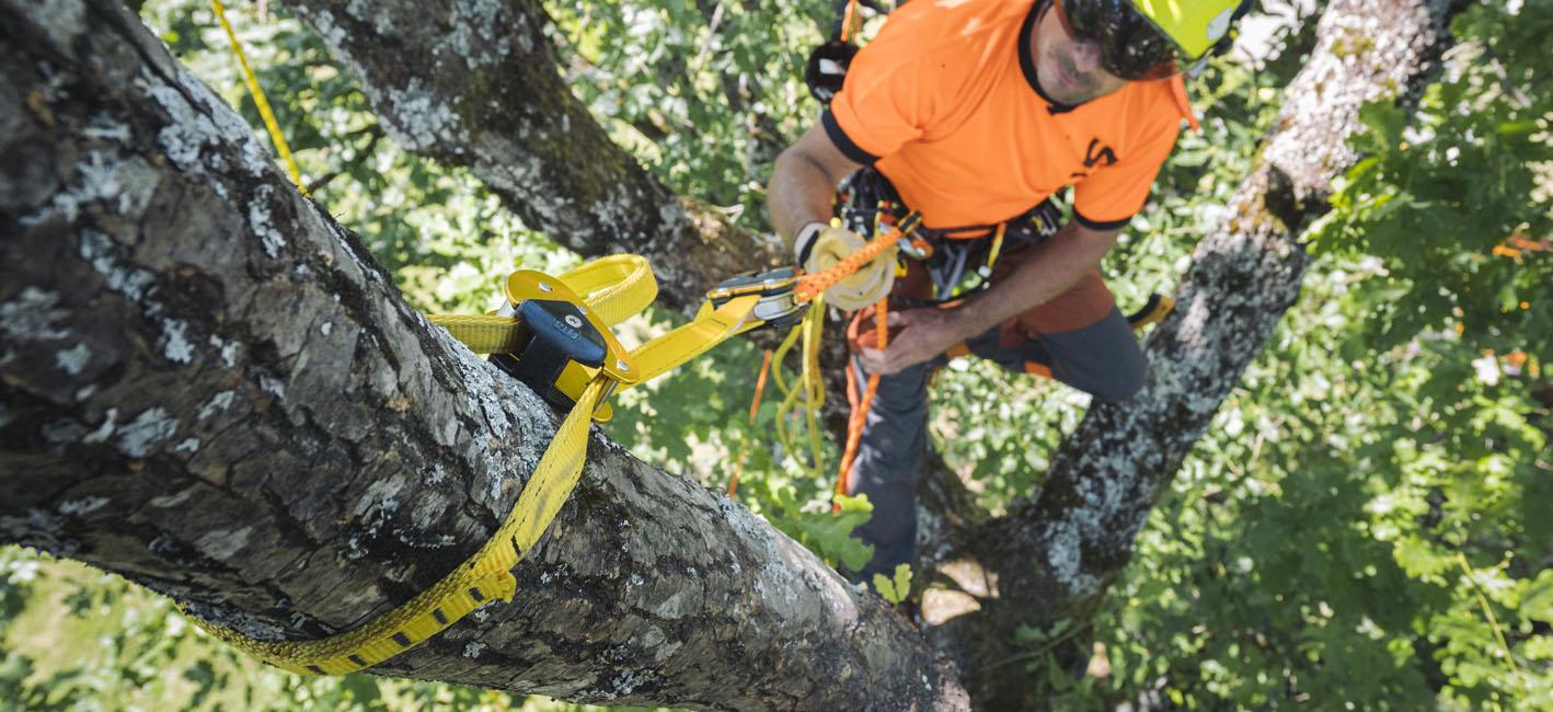 Анкерный строп для работы на деревьях Petzl EJECT