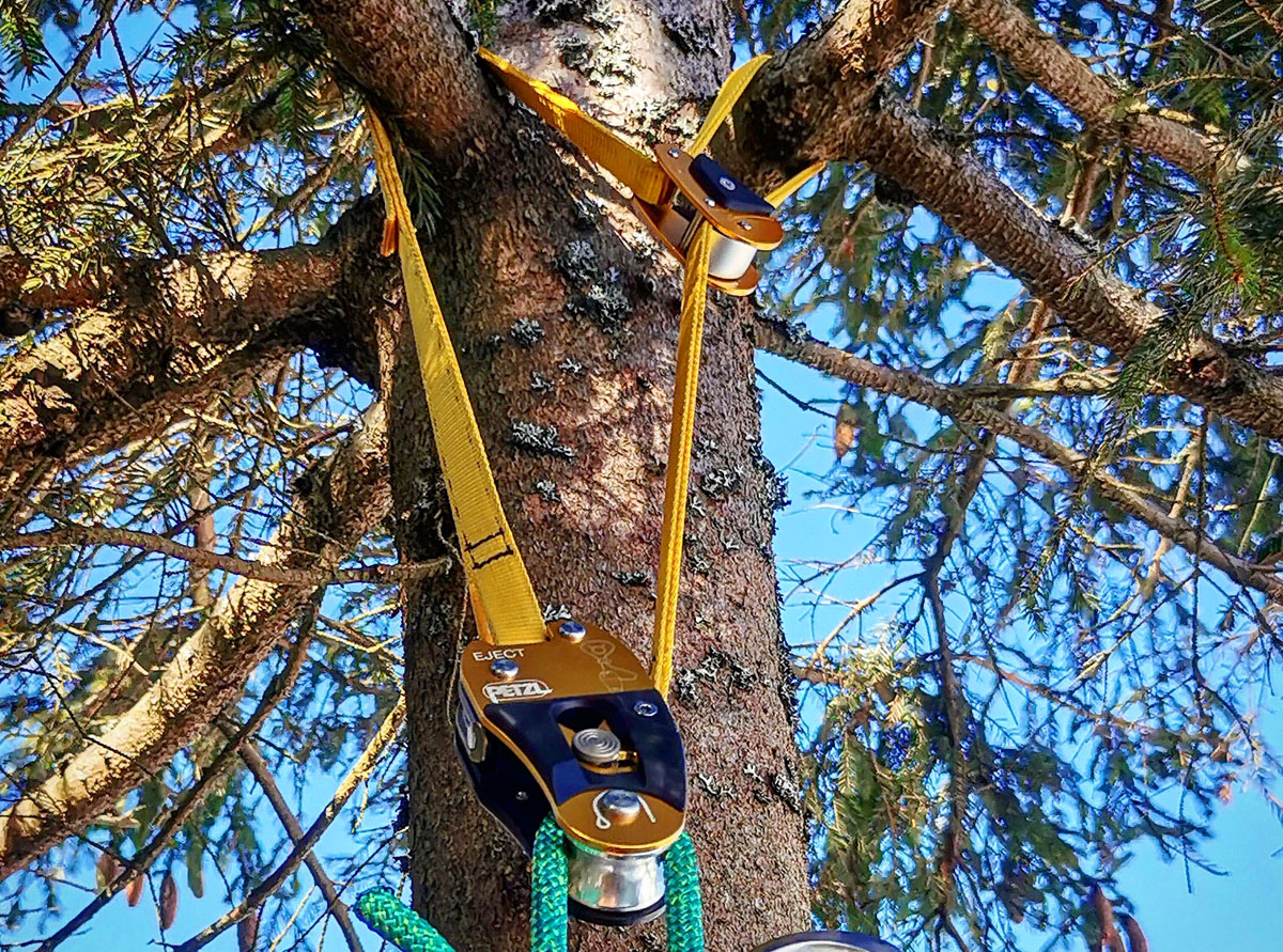 Анкерный строп для работы на деревьях Petzl EJECT 