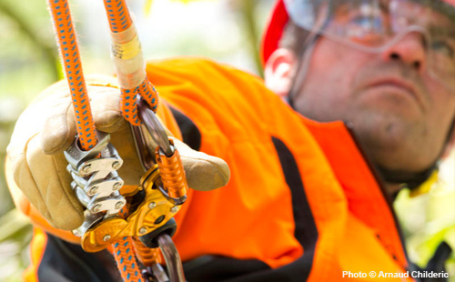 Механический прусик Petzl ZIGZAG